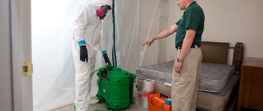 Phoenix, AZ mold removal process